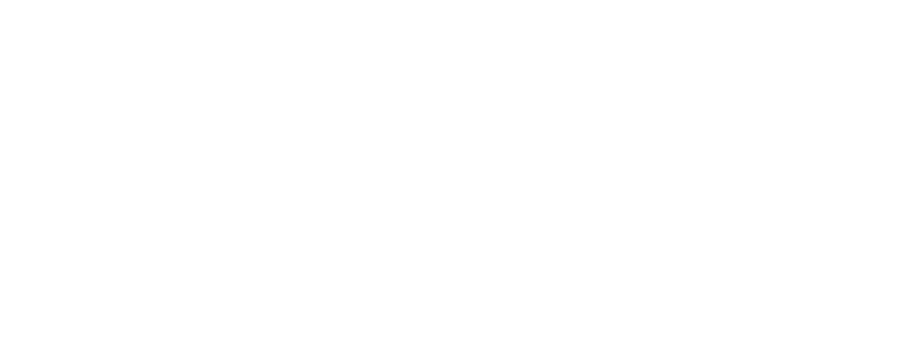 Logo White
